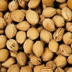 Bouillotte Noyaux Cerises Efie® Broderie Otarie - Bouillotte Efie -Peluche Jouets Magasin bouillotte noyaux cerises efie broderie otarie bouillotte efie 2