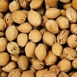 Doudou Bouillotte Efie Noyaux De Cerise Éléphant 30 Cm - Coton Bio Naturel -Peluche Jouets Magasin doudou bouillotte efie noyaux de cerise elephant coton bio naturel 3