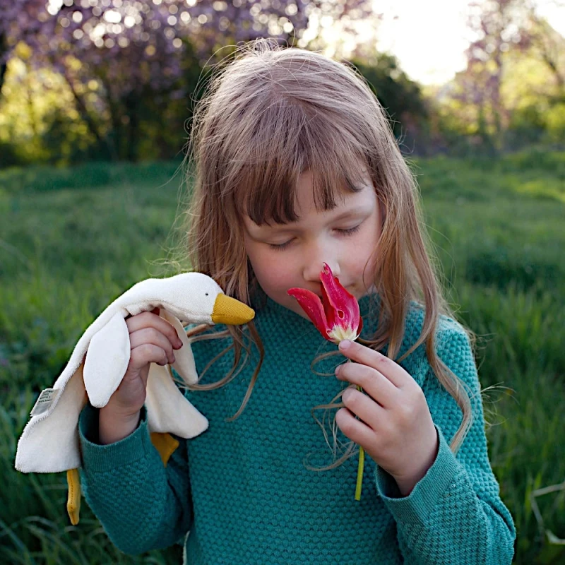 Doudou Marionnette à Doigt Oie Fritzi 30 Cm Nanchen Natur® Coton & Laine Bio- Jouet Bio 4 Doudou Marionnette à Doigt Oie Fritzi 30 Cm Nanchen Natur® Coton & Laine Bio- Jouet Bio – Image 2