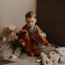 Doudou Peluche Ours Caramel Wooly Organic® Coton Bio 17 Cm - Doudou Bio GOTS -Peluche Jouets Magasin doudou peluche ours caramel wooly organic coton bio 17 cm doudou bio gots 3