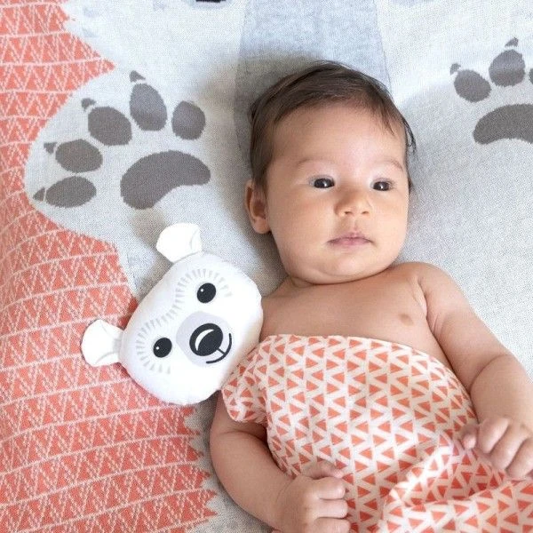 Doudou Plat 28cm Coton Bio Ours Polaire Coq En Pâte® - Doudou Coton Bio 5 Doudou Plat 28cm Coton Bio Ours Polaire Coq En Pâte® - Doudou Coton Bio – Image 3