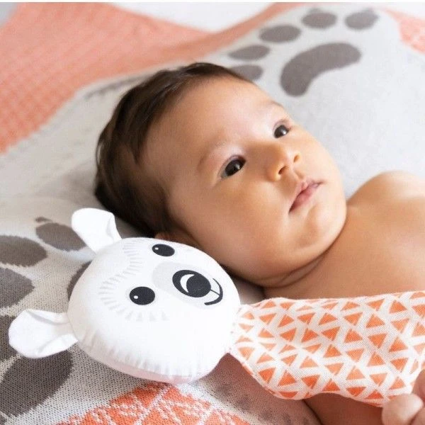 Doudou Plat 28cm Coton Bio Ours Polaire Coq En Pâte® - Doudou Coton Bio 6 Doudou Plat 28cm Coton Bio Ours Polaire Coq En Pâte® - Doudou Coton Bio – Image 4