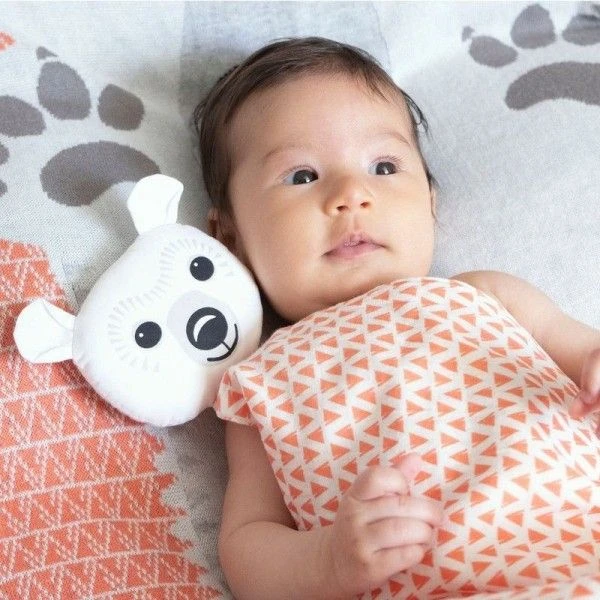 Doudou Plat 28cm Coton Bio Ours Polaire Coq En Pâte® - Doudou Coton Bio 7 Doudou Plat 28cm Coton Bio Ours Polaire Coq En Pâte® - Doudou Coton Bio – Image 5