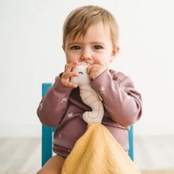 Doudou Plat Lange Coton Bio Hippocampe APunt Barcelona® 30cm - Doudou Bébé Bio 12 Doudou Plat Lange Coton Bio Hippocampe APunt Barcelona® 30cm - Doudou Bébé Bio -Peluche Jouets Magasin doudou plat lange coton bio hippocampe apunt barcelona 30cm doudou bebe bio 4