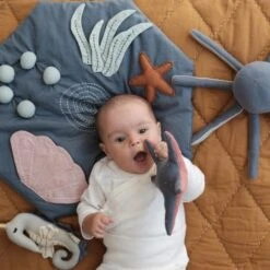 Doudou Hochet Etoile De Mer Fabelab® 20 Cm Coton Bio GOTS- Jouet Bio Scandinave 10 Doudou Hochet Etoile De Mer Fabelab® 20 Cm Coton Bio GOTS- Jouet Bio Scandinave -Peluche Jouets Magasin hochet etoile de mer fabelab 20 cm coton bio gots jouet bio scandinave 3