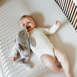 Peluche Bouillotte Dauphin Coton Bio 38 Cm Senger® - Bouillotte Sèche Bio -Peluche Jouets Magasin peluche bouillotte dauphin coton bio 38 cm senger bouillotte seche bio 1