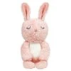 Peluche Bio Lapin Bimle Rose 22cm Coton Bio Franck & Fischer® - Peluche Coton Bio -Peluche Jouets Magasin peluche lapin bimle rose coton bio franck fischer peluche coton bio
