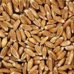 Poupée Bouillotte Épeautre Tissu Éponge & Robe Blanche Bonnet Rayé 28 Cm Efie® Coton Bio - Poupée Naturel Efie -Peluche Jouets Magasin poupee bouillotte epeautre tissu eponge robe blanche efie coton bio poupee naturel efie 3